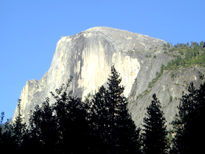 Half Dome from Camp Curry